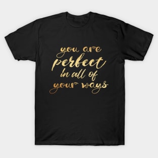 You are perfect in all of your ways T-Shirt